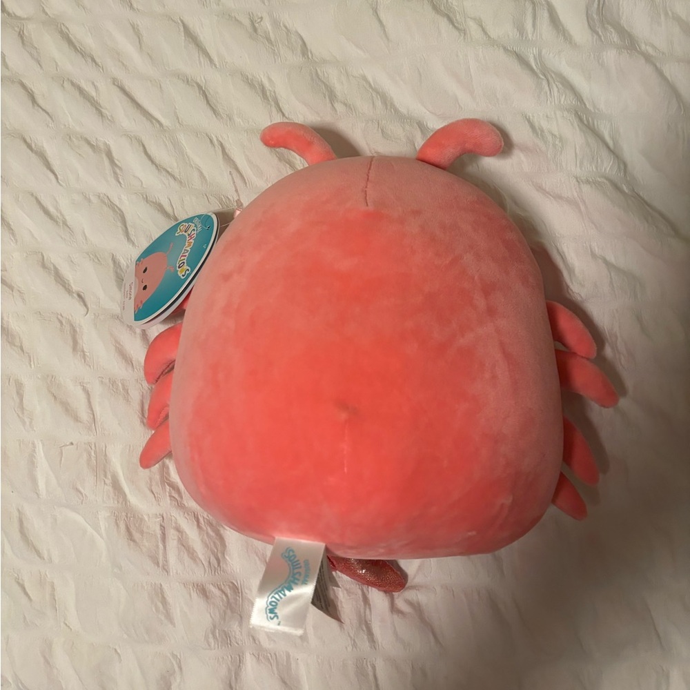 Simone the shrimp - Picture 2 of 2